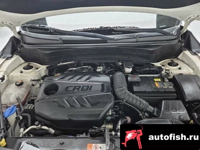 Kia Seltos Celtos 2019 года - вид 5