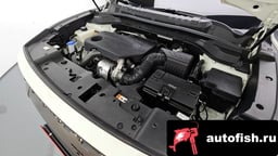 Миниатюра 6