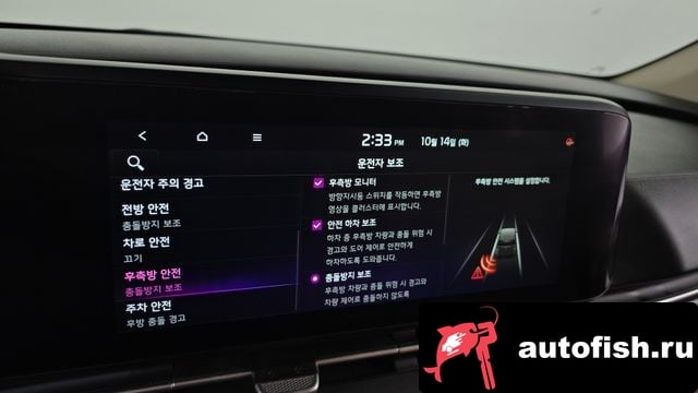 Kia Carnival Carnival 4th generation 2022 года - вид 16