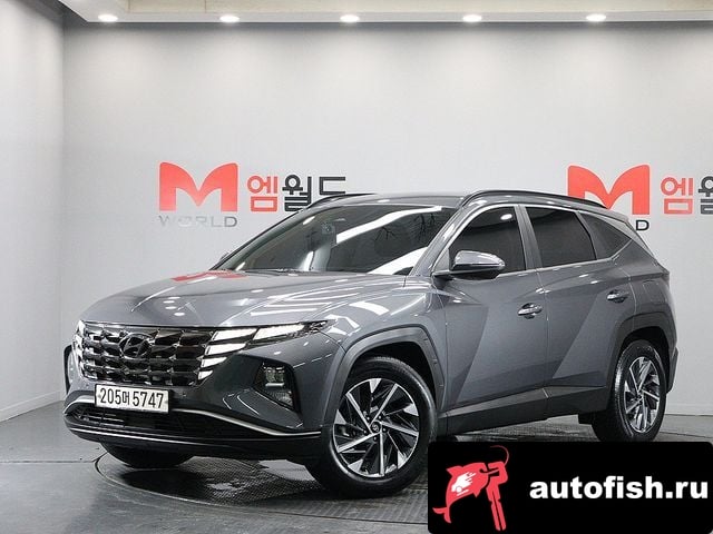 Hyundai Tucson Tucson Hybrid (NX4) 2021 года - вид 1