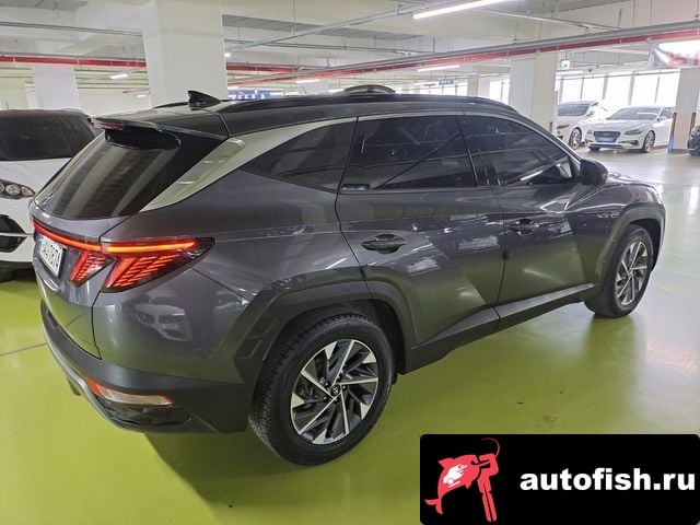 Hyundai Tucson Tucson Hybrid (NX4) 2020 года - вид 2