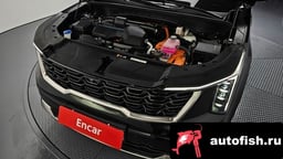 Миниатюра 6