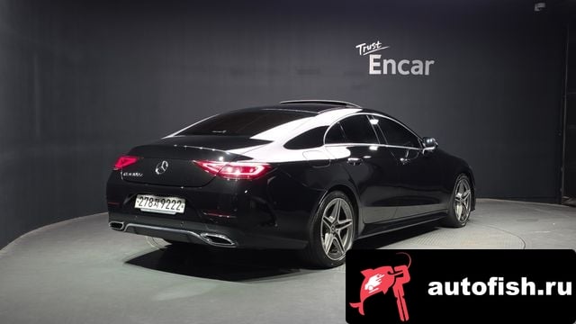 Mercedes-Benz CLS-Class CLS-Class C257 2019 года - вид 2