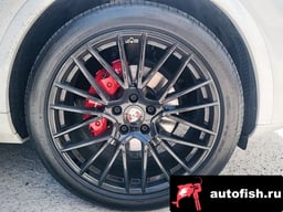 Миниатюра 6