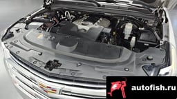 Миниатюра 6