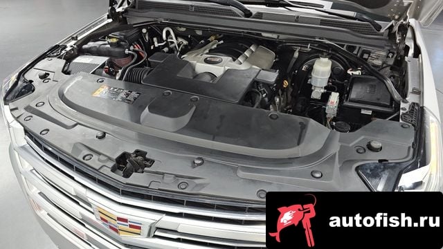 Cadillac Escalade Escalade 5th Generation 2019 года - вид 6