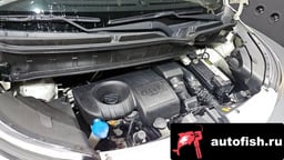 Миниатюра 6