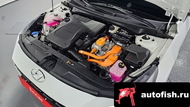 Hyundai AVANTE Avante Hybrid (CN7) 2022 года - вид 6