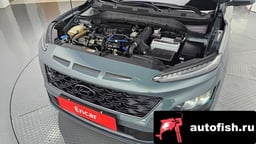 Миниатюра 6