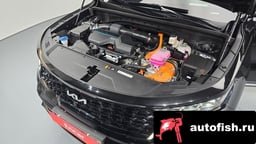 Миниатюра 6