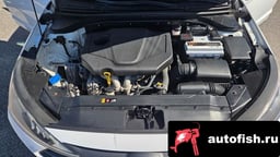 Миниатюра 6