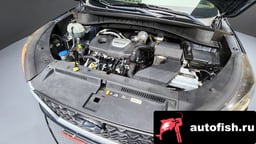 Миниатюра 6