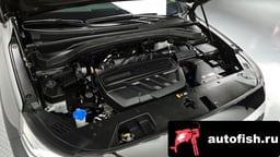 Миниатюра 6