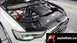 Миниатюра 6