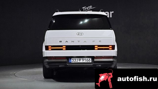 Hyundai Santafe San Tafe (MX5) 2024 года - вид 4