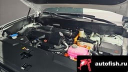 Миниатюра 6