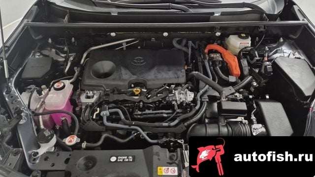 Toyota RAV4 RAV4 5th Generation 2025 года - вид 6