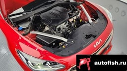 Миниатюра 6