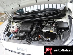 Миниатюра 6