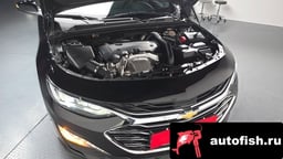 Миниатюра 5