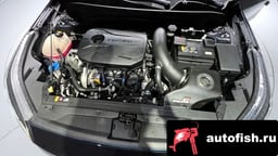 Миниатюра 6