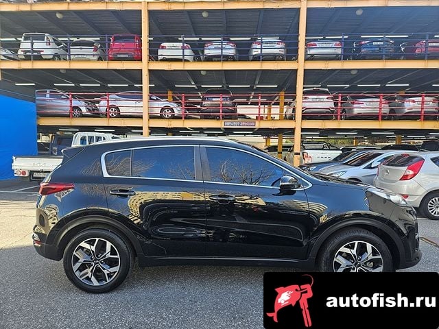 Kia Sportage Sportage The Bold 2020 года - вид 4