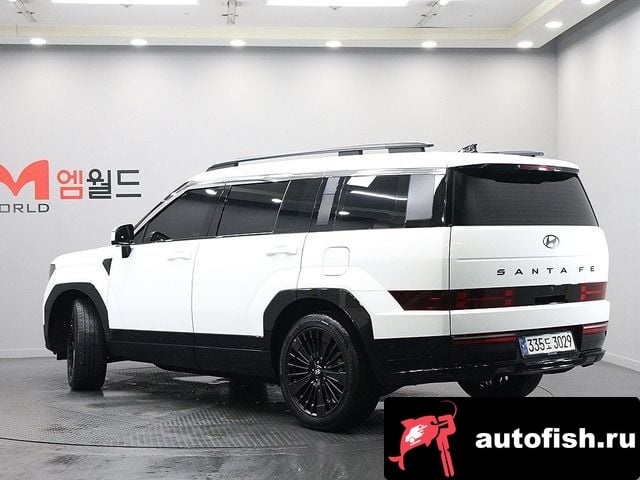 Hyundai Santafe San Tafe (MX5) 2024 года - вид 4