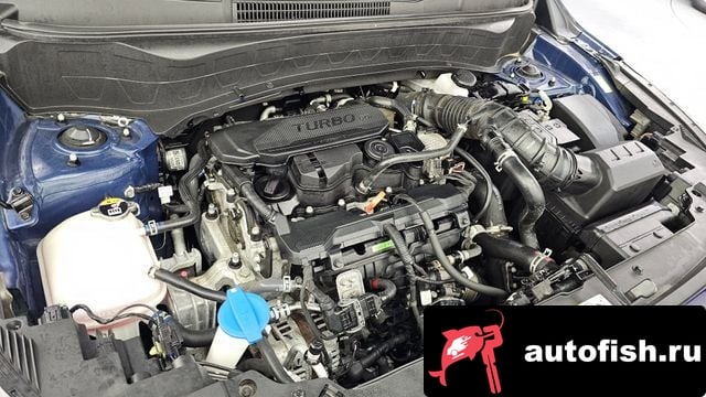 Kia Seltos The New Celtos 2023 года - вид 6