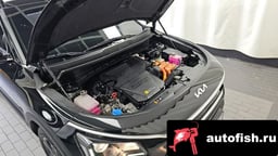 Миниатюра 6