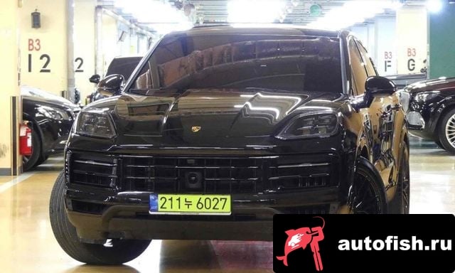 Porsche Cayenne Cayenne (PO536) 2024 года - вид 1