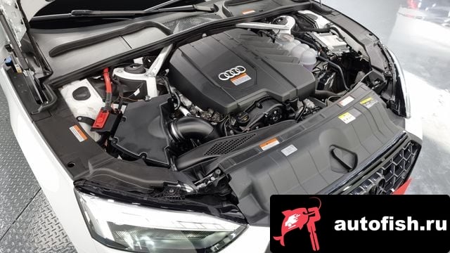 Audi A5 A5 (F5) 2023 года - вид 6