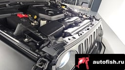 Миниатюра 6