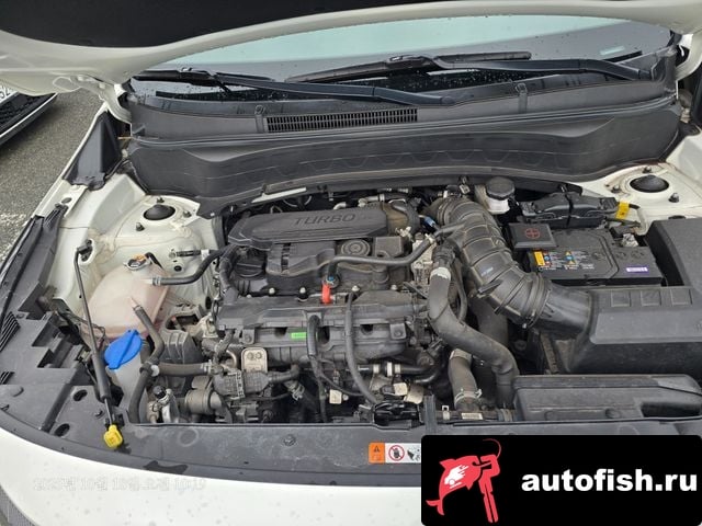 Kia Seltos The New Celtos 2023 года - вид 6