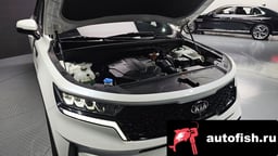 Миниатюра 6