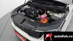 Миниатюра 6