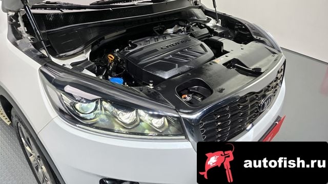Kia Sorento The New Sorento 2019 года - вид 6