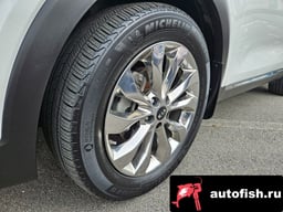 Миниатюра 5