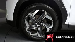 Миниатюра 5