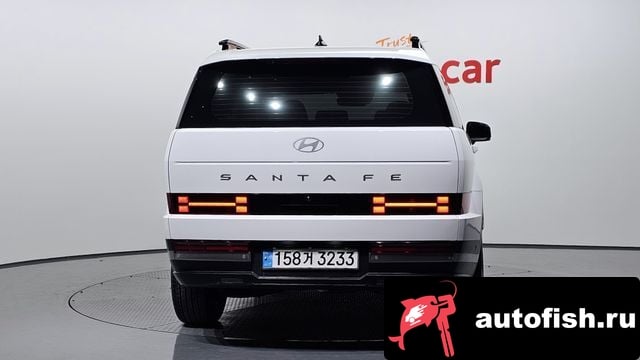 Hyundai Santafe San Tafe (MX5) 2024 года - вид 4