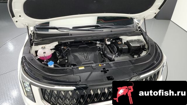 Kia Carnival The New Carnival 4th Generation 2024 года - вид 6