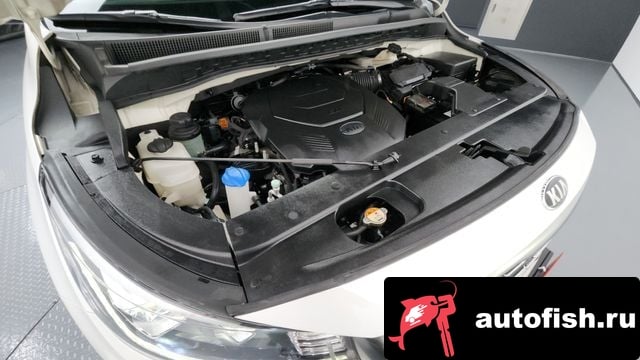 Kia Carnival The New Carnival 2019 года - вид 6