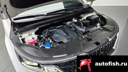 Миниатюра 6