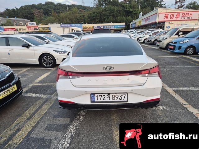 Hyundai AVANTE Avante Hybrid (CN7) 2021 года - вид 4