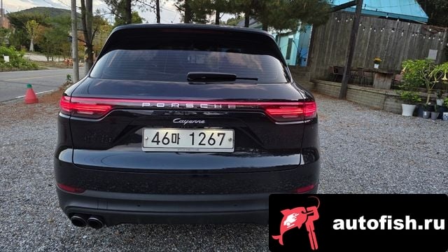 Porsche Cayenne Cayenne (PO536) 2019 года - вид 2