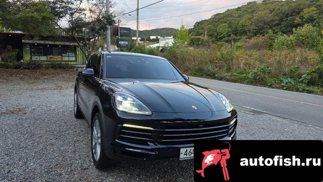 Porsche Cayenne Cayenne (PO536) 2019 года - вид 4