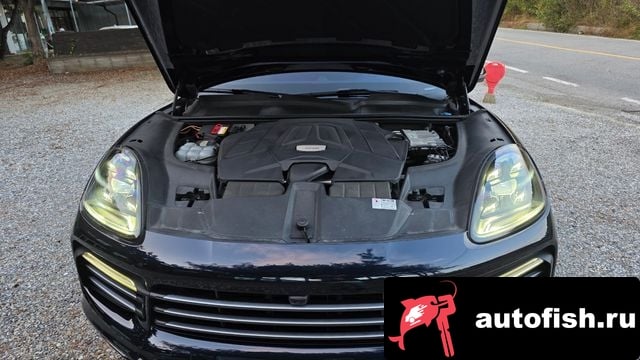 Porsche Cayenne Cayenne (PO536) 2019 года - вид 6