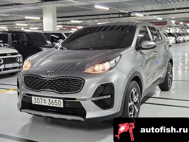Kia Sportage Sportage The Bold 2019 года - вид 1