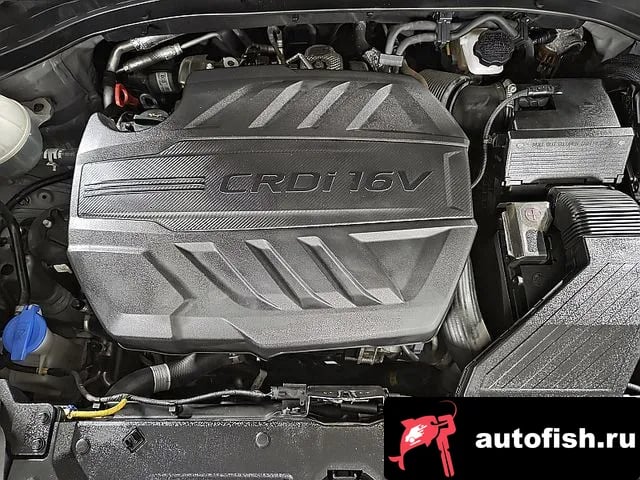 Kia Sportage Sportage The Bold 2019 года - вид 5