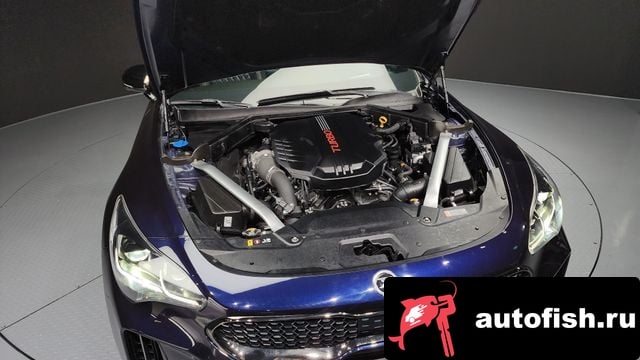 Kia Stinger Stinger Meister 2020 года - вид 6