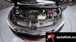 Миниатюра 6